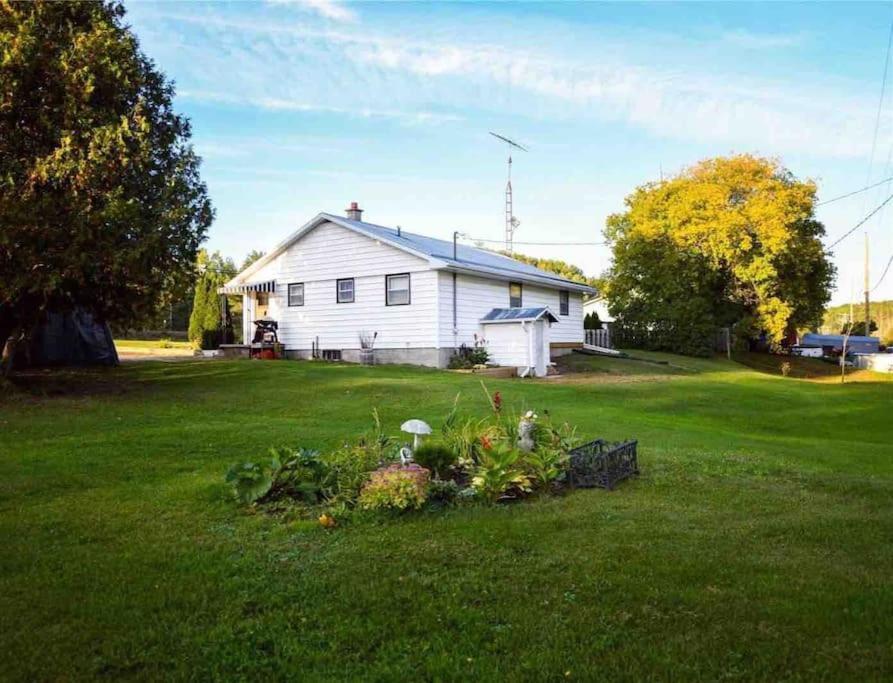 Private Cottage With Huge Private Dog Park! Barrys Bay エクステリア 写真