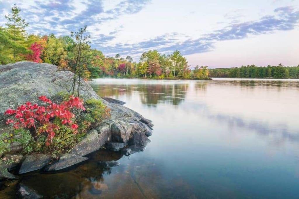 Private Cottage With Huge Private Dog Park! Barrys Bay エクステリア 写真