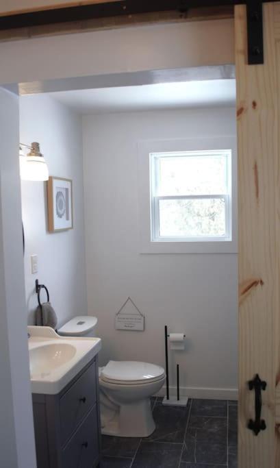 Private Cottage With Huge Private Dog Park! Barrys Bay エクステリア 写真