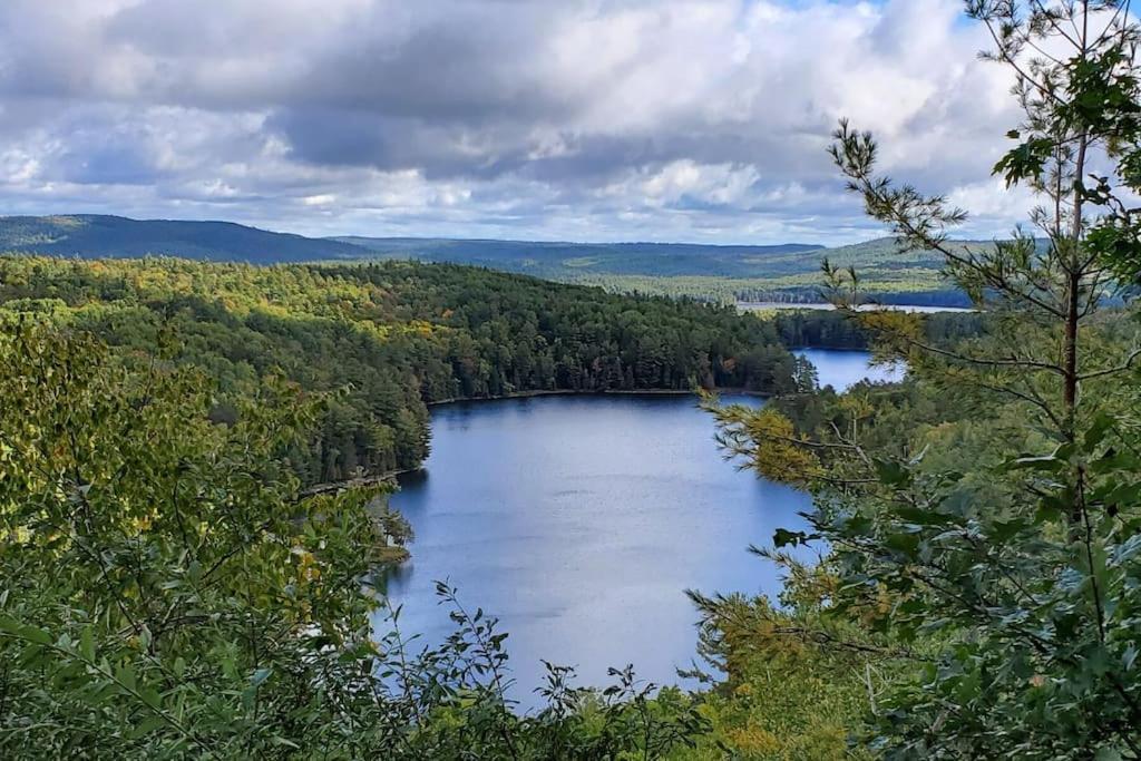 Private Cottage With Huge Private Dog Park! Barrys Bay エクステリア 写真