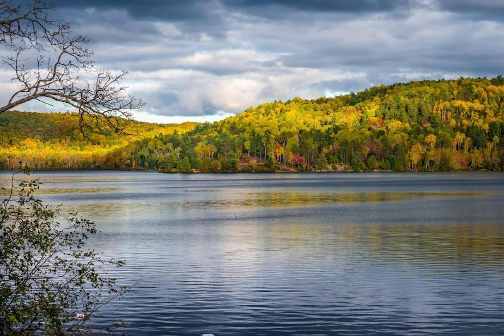 Private Cottage With Huge Private Dog Park! Barrys Bay エクステリア 写真